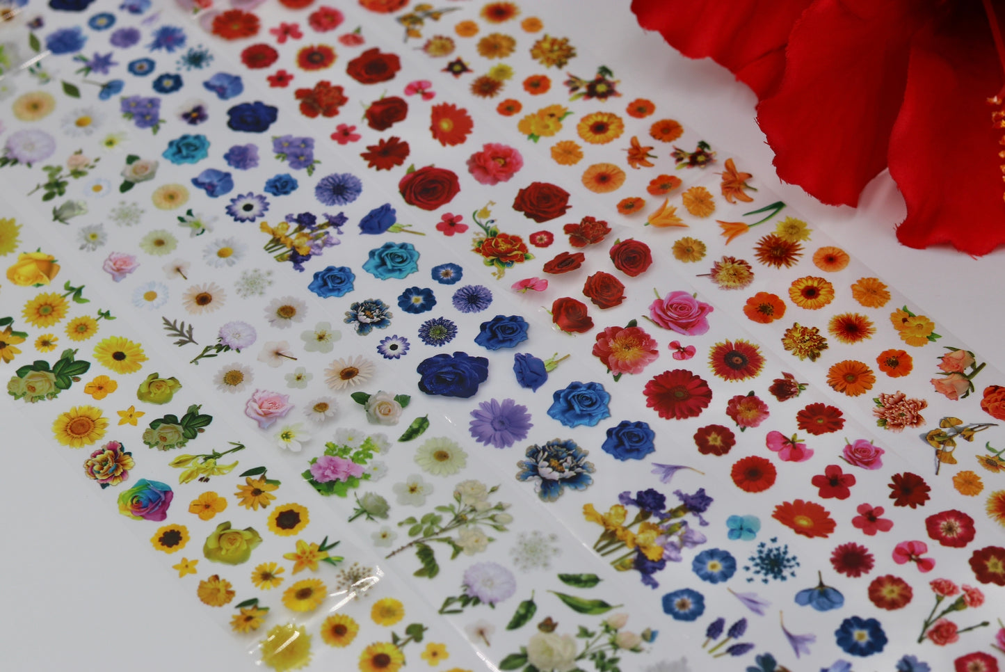 Garden of Eden Foil Set 🌹