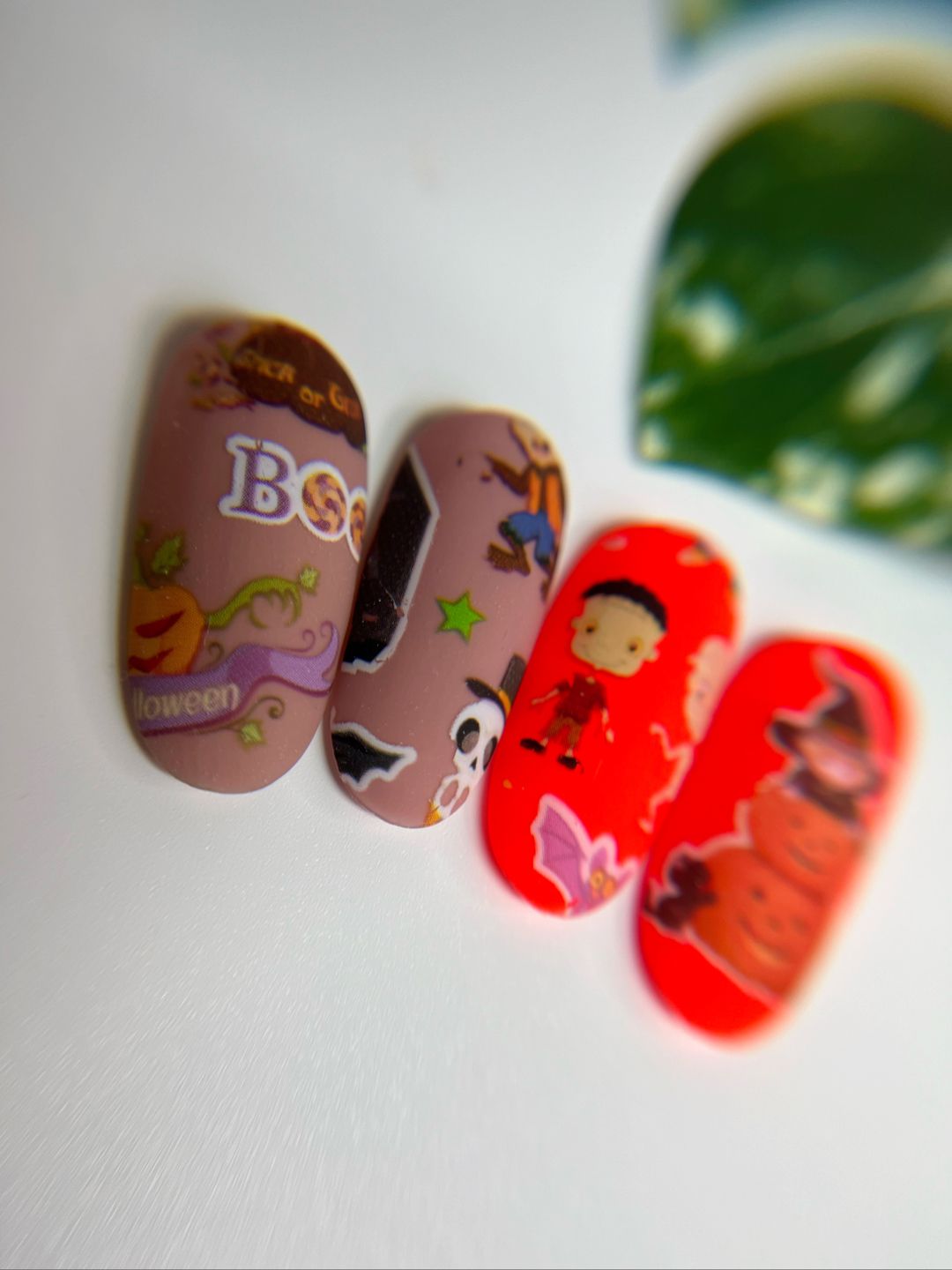 Trick Or Treat Foil Set 👻