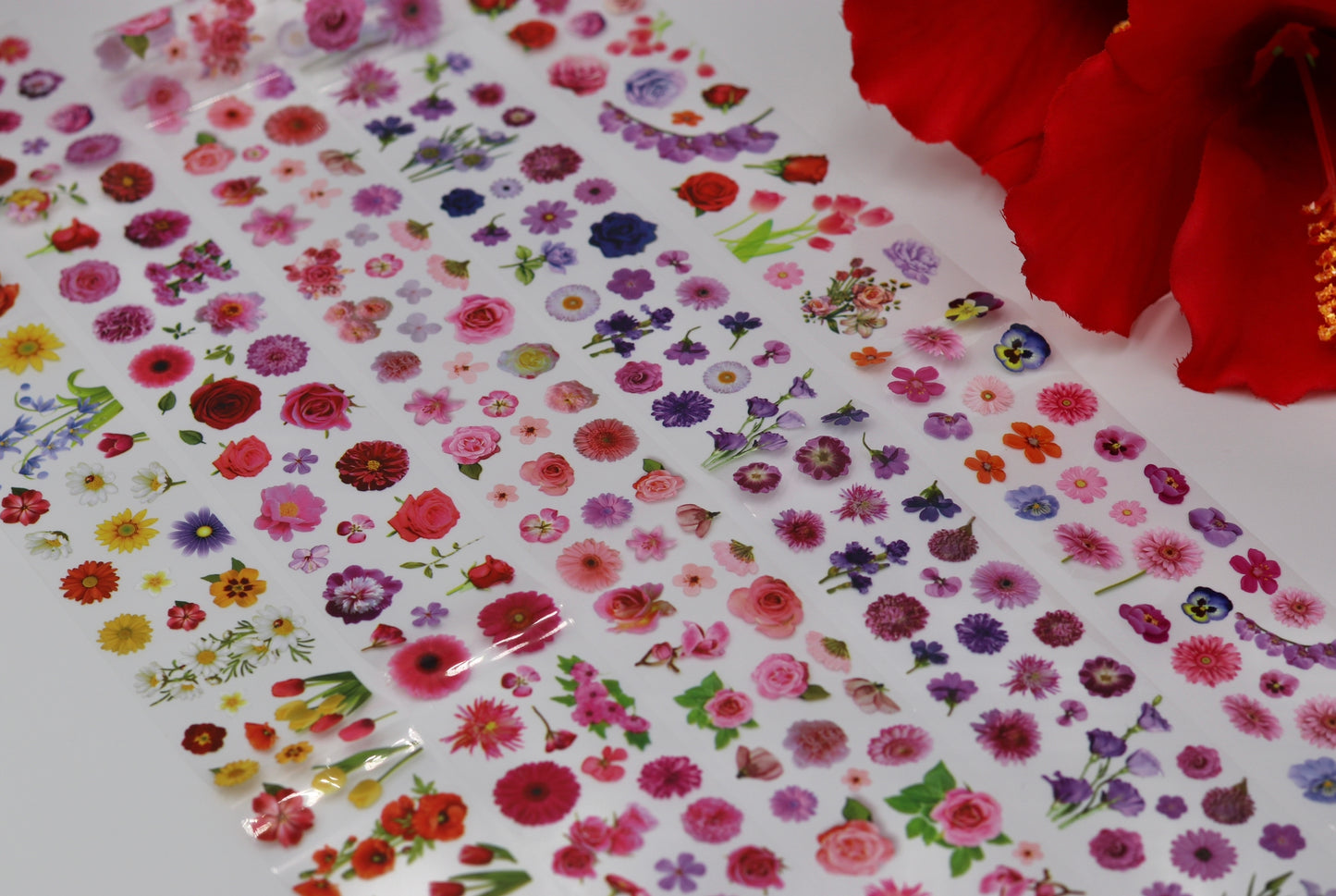 Garden of Eden Foil Set 🌹