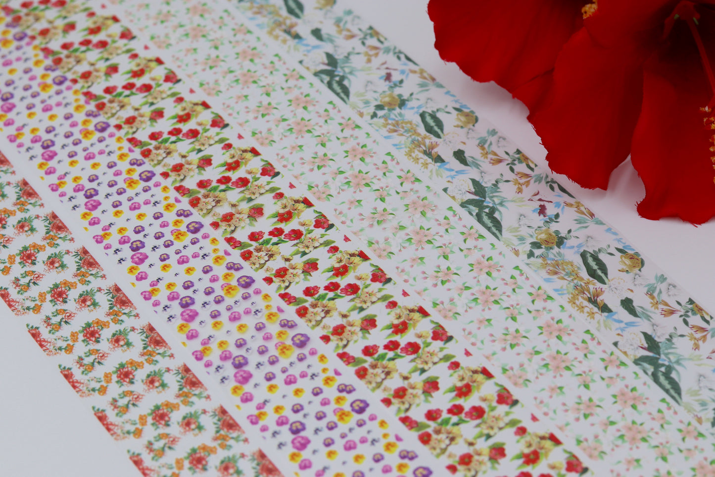 Secret Garden Foil Set 🌷